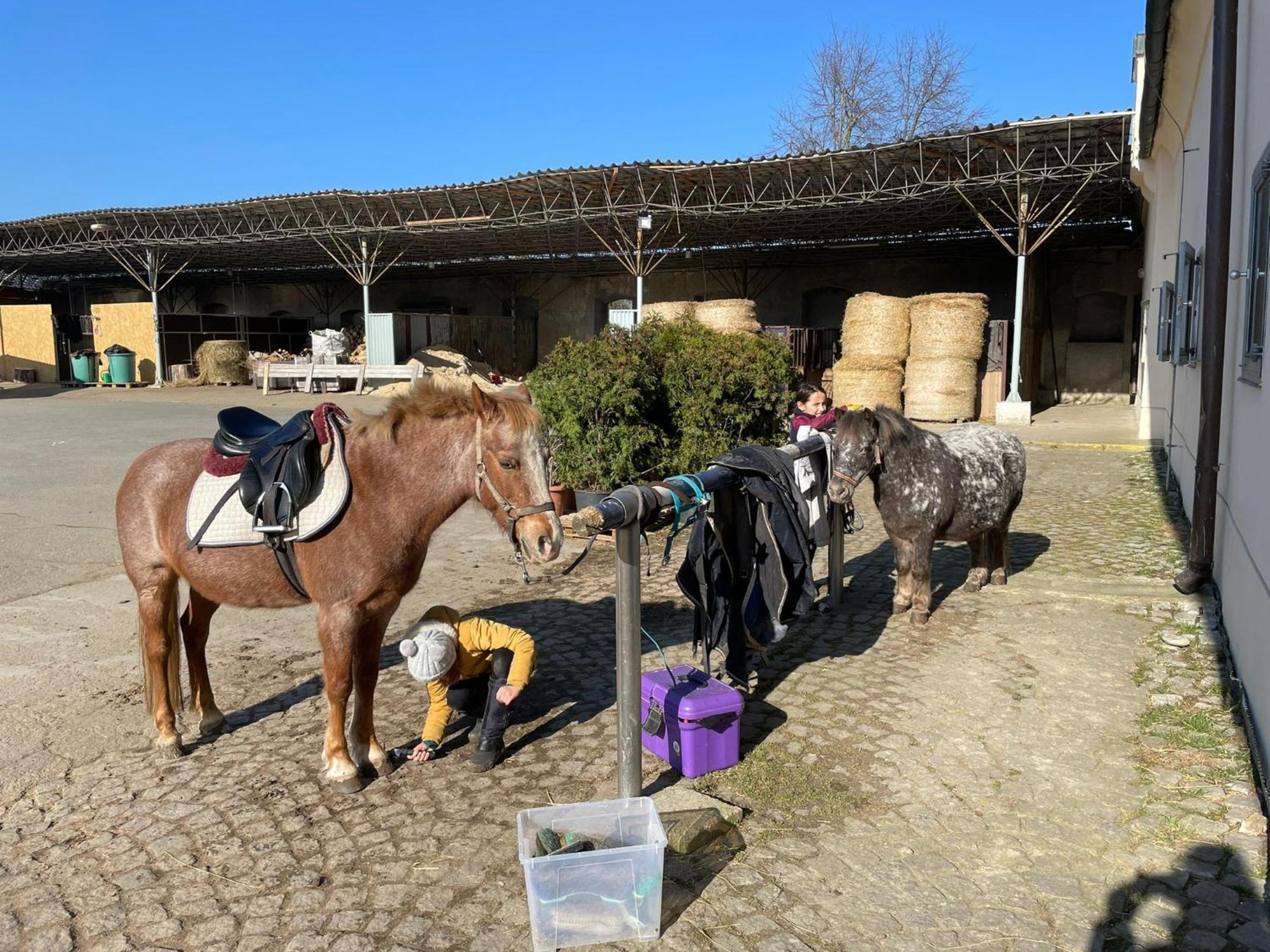 Dvur Nove Zamky Hotel Mladec Bagian luar foto
